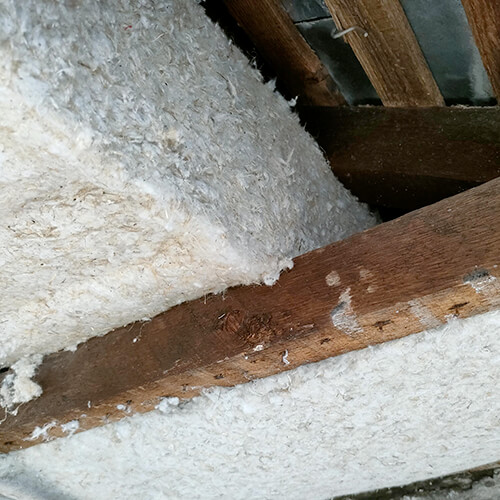 isolant thermique Biofibre en chanvre, coton et lin pour l'intérieur de votre maison à Evreux