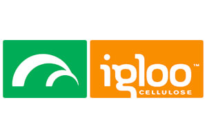 Logo Igloo